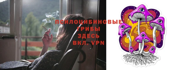 бошки Михайлов