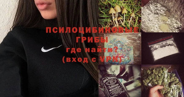 индика Наволоки