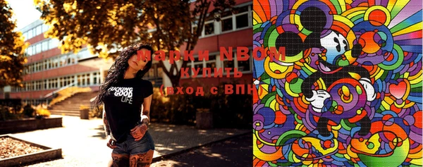 индика Наволоки