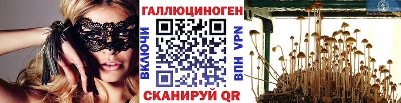 Купить  Каневская  Псилоцибиновые грибы Psilocybine cubensis 